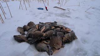 Ссылка