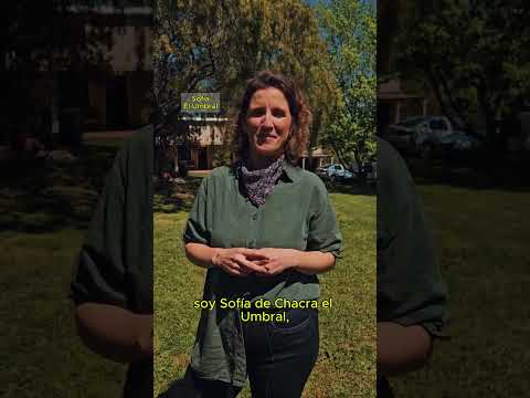 Encantos del oeste canario  - El Umbral