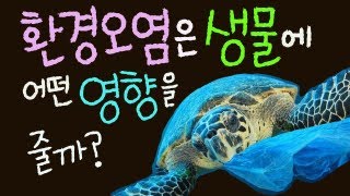 환경 오염은 생물에 어떤 영향을 줄까요? ■주요개념: 환경오염, 대기오염, 수질오염,  토양오염 [초등 과학 5학년 2학기 2단원 8차시 ]