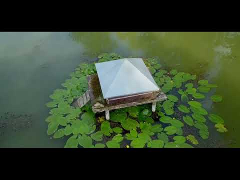 Hermann's Quelle // Bad Friedrichshall // 2018 DJI Mavic Pro