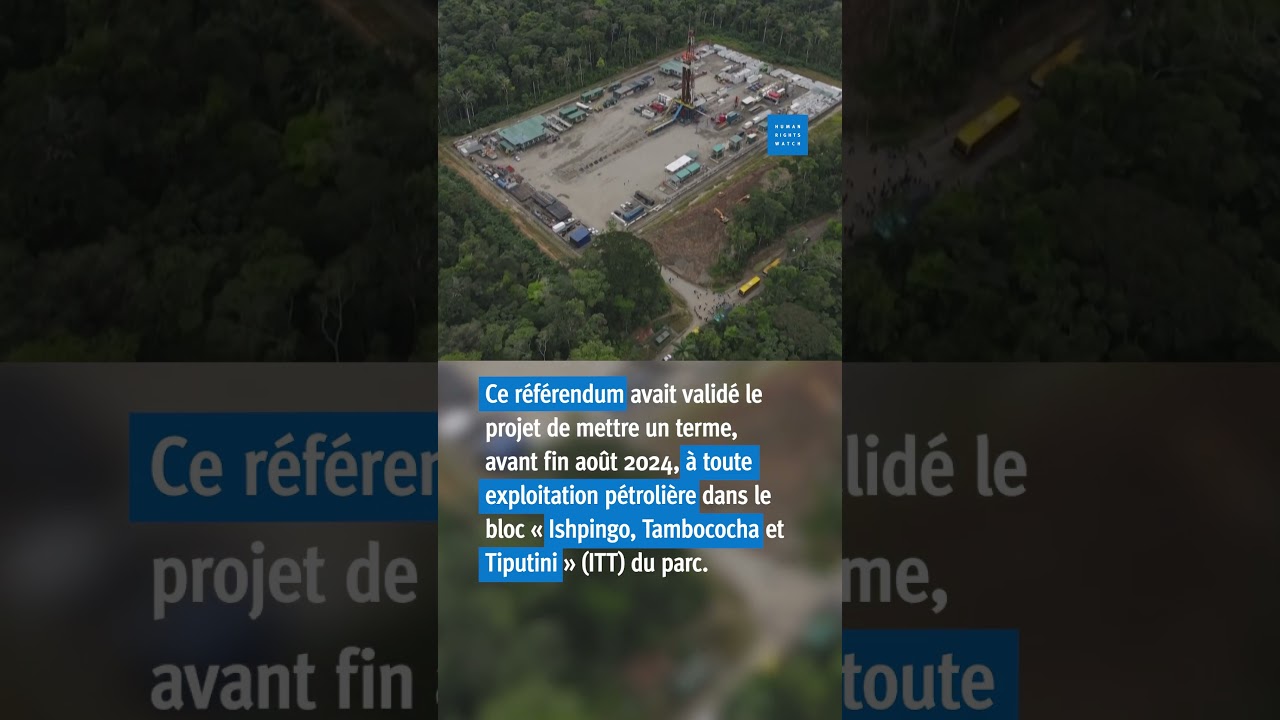 Équateur : Opérations pétrolières dans le parc de Yasuni