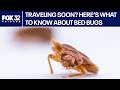 Chicago ranks among top U.S. cities for bed bugs, report finds | ChicagoLIVE