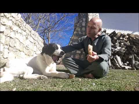 Day4083 Happy 20Feb2023