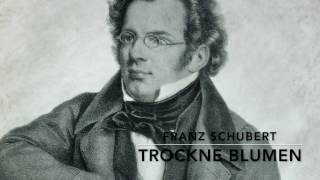 Franz Schubert - Die schöne Müllerin (D 795) - Trockne Blumen