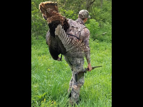 Missouri Spring Turkey Hunt