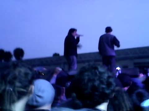 Gasper vs audaz 8tvos