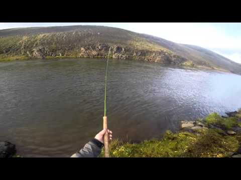 Víðidalsá - falleg hrygna úr Efri-Valhyl