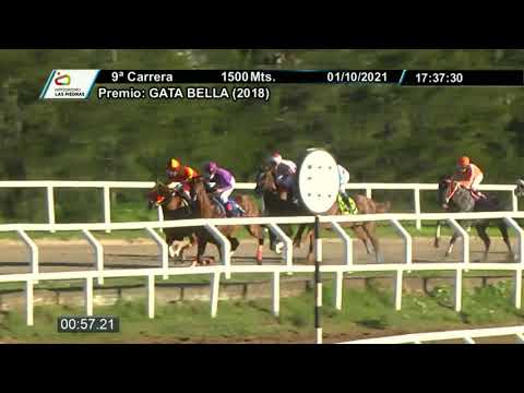 211001 c09 - ONRUSCH (BRZ) - HIPODROMO LAS PIEDRAS