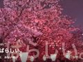 yasashiku naritai_やさしくなりたい。 