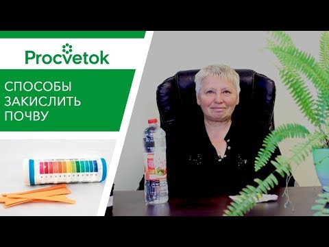 Как подкислить почву для гортензии, голубики, клюквы?