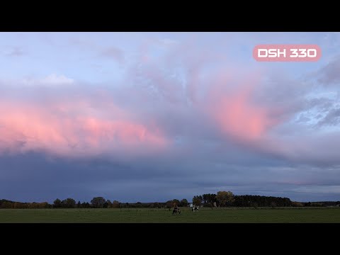 DSH 330 | Atmospheric Deepness & Melodic Grooves