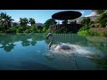 Greater Flamingo Planet Zoo Animals