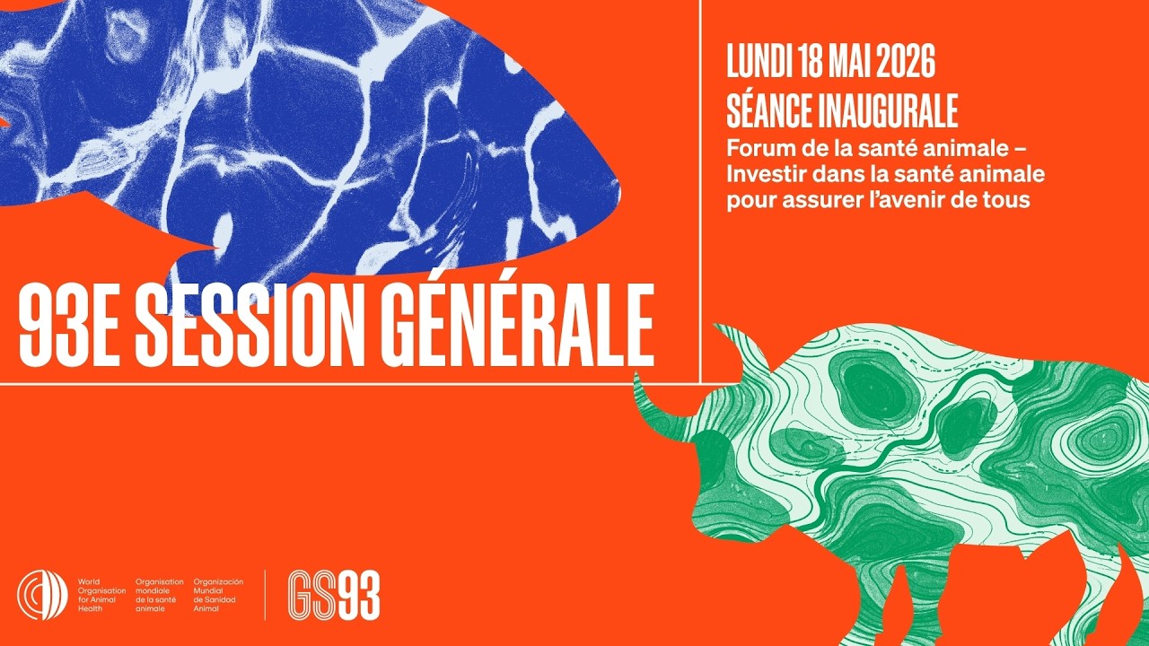 DIRECT:  Ouverture, table ronde sur l’investissement en santé animale. 93e Session Générale #WOAHGS