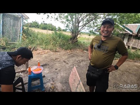 EP827-P1 - HAPPY BIRTHDAY, DALAMAN!