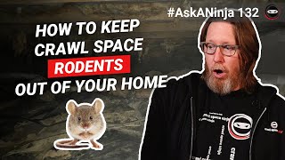 How to Keep Crawl Space Rodents Out of Your Home