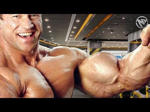 MONSTER IN THE GYM! - GUNTER SCHLIERKAMP MOTIVATION
