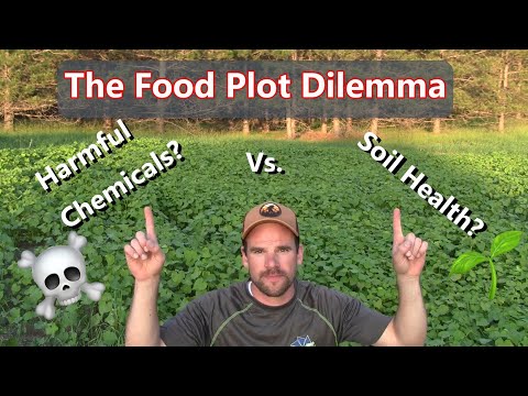 No Till vs. No Spray Food Plots