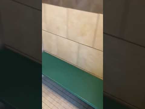 the shower