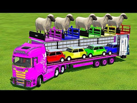 TRANSPORTING SHEEPS & MINI COOPER CARS WITH SCANIA TRUCK - Farming Simulator 22