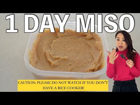 ONE DAY MISO | How to make Miso in 1 day | Do not watch if you don’t have a rice cooker
