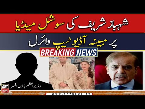 Alleged audio leak of PM Shehbaz Sharif goes viral