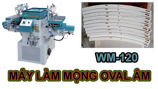 Máy Đục Mộng Oval Âm Woodmaster | Máy Làm Mộng Âm 2 Bàn Giá Tốt WM-120
