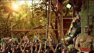 Thrissur Pooram 🐘🐘🐘🐘   Thrissur pooram