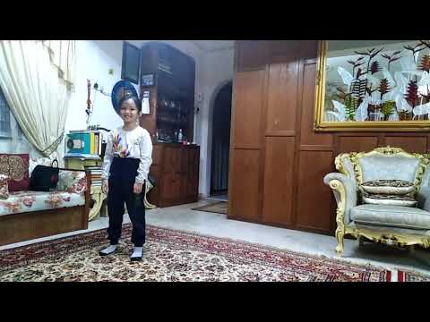 Azmina alisya cart wheel