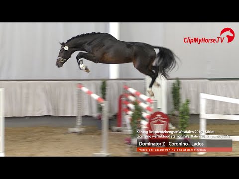 Hengst v.  Dominator Z -  Coronino - Lados