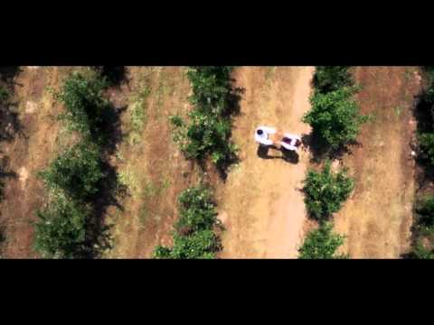 Aleksandar Tasevski - Svadba Ohridska SPOT