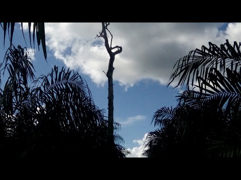 ISTRI SANTRI _ESTA JOSS / DEDI ROSADI KARAOKE TANPA VOKAL