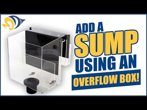 Add a Sump to Your Reef Tank Using an Overflow Box