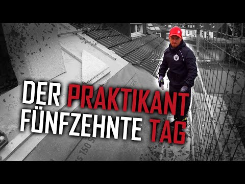 Dachdecker / Der Praktikant - Der fünfzehnte Tag 🐣 DER FRÜHE VOGEL
