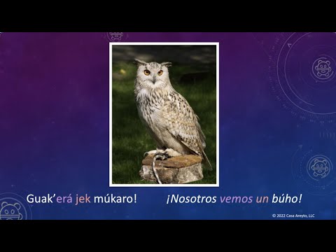 Let's Talk Taíno en español 27 - Animales, artículos ¡y más! 🐸😽🦅