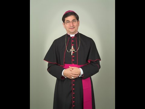 Virtual Synthesis Day/ Día de Síntesis Virtual May 8, 2021