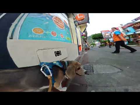 Cuidad de Baños de Agua Santa - Tunguragua Ecuador - con Doggy y Coffie - Ultra Wide Lens GoPro13 