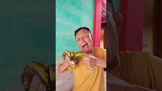 Download lagu Wakenan lelaki#shorts#funny#ghost#duet#memes#comedy#trending mp3 Download lagu Wakenan lelaki#shorts#funny#ghost#duet#memes#comedy#trending mp3