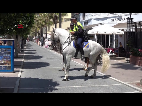 Mounted police - Runaway horse police - CAVALLO IMBIZZARRITO DELLA POLIZIA