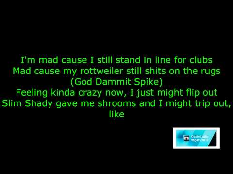 The Madd Rapper ft. Eminem - Stir Crazy [HD & Lyrics]