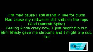 The Madd Rapper ft. Eminem - Stir Crazy [HD &amp; Lyrics]