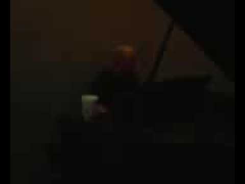 Brentalfloss plays "Megaman 3" with lyrics