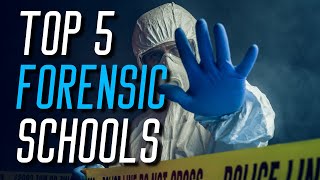 The Best Forensic Science College Undergraduate Programs in 2024