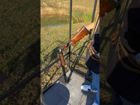 Beretta DT11 vs Rizzini BR460