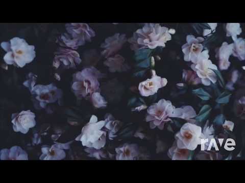 Sorry That It's Over (Billie Eilish When The Parties Over and Hasley Sorry mashup)