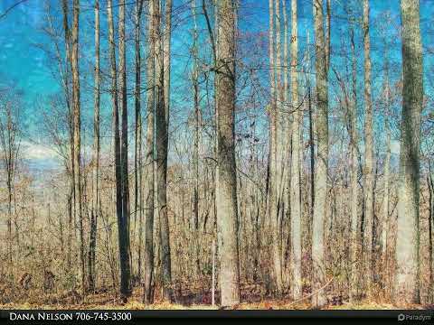 Coldwell Banker High Country Realty - LT 9 FAIRWAY VISTA #Lot 9