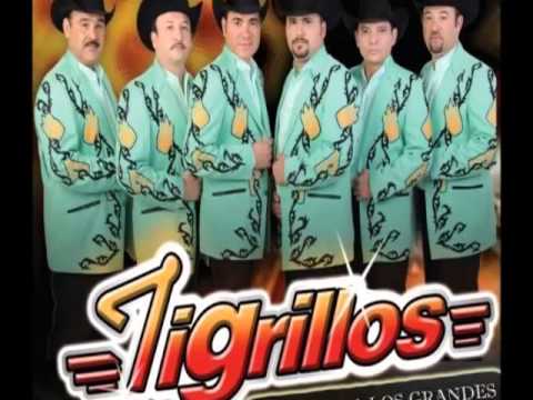 tigrillos - 039