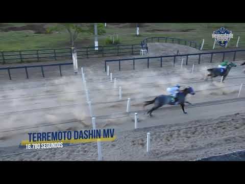 VII GP Velocidade Nordeste - Quarto páreo