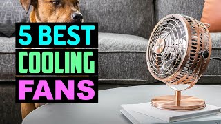 5 Best Cooling Fans 2025 With Buying Guide