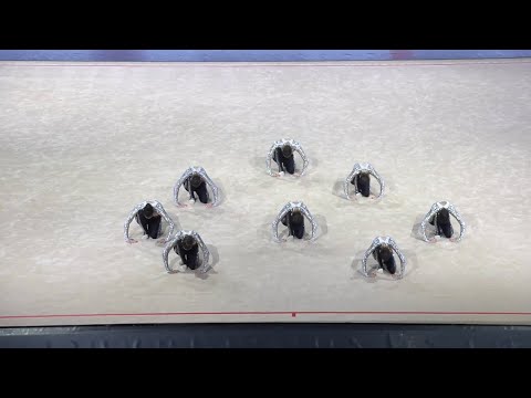 National team BUL Preliminaries - AGG World Championships 2021 Helsinki