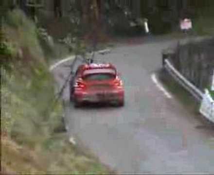 PEUGEOT 206 WRC-Bruno Thiry